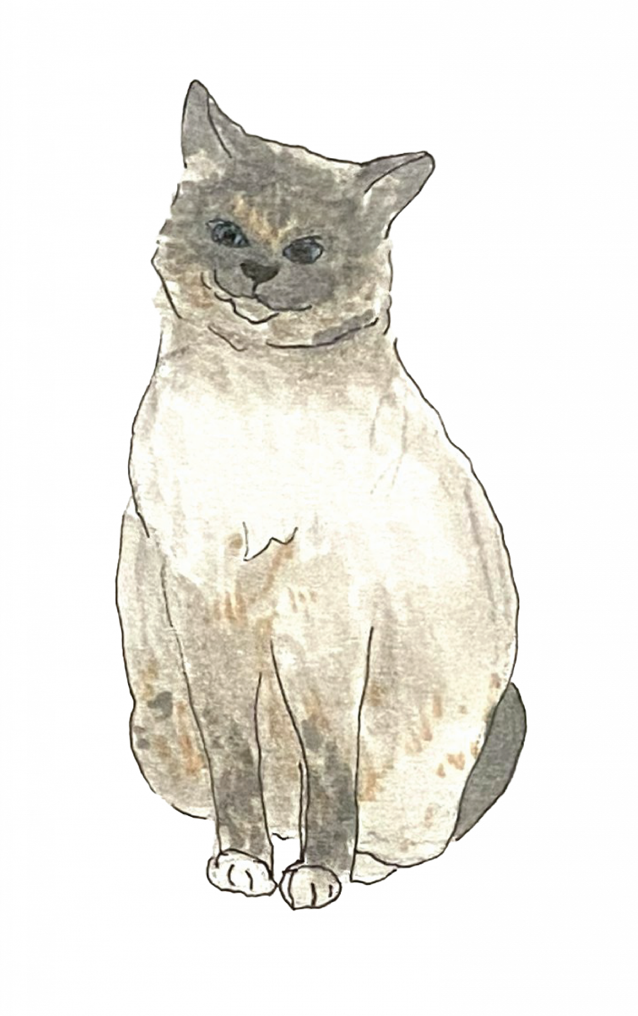 "Cross-eyed Boy"
