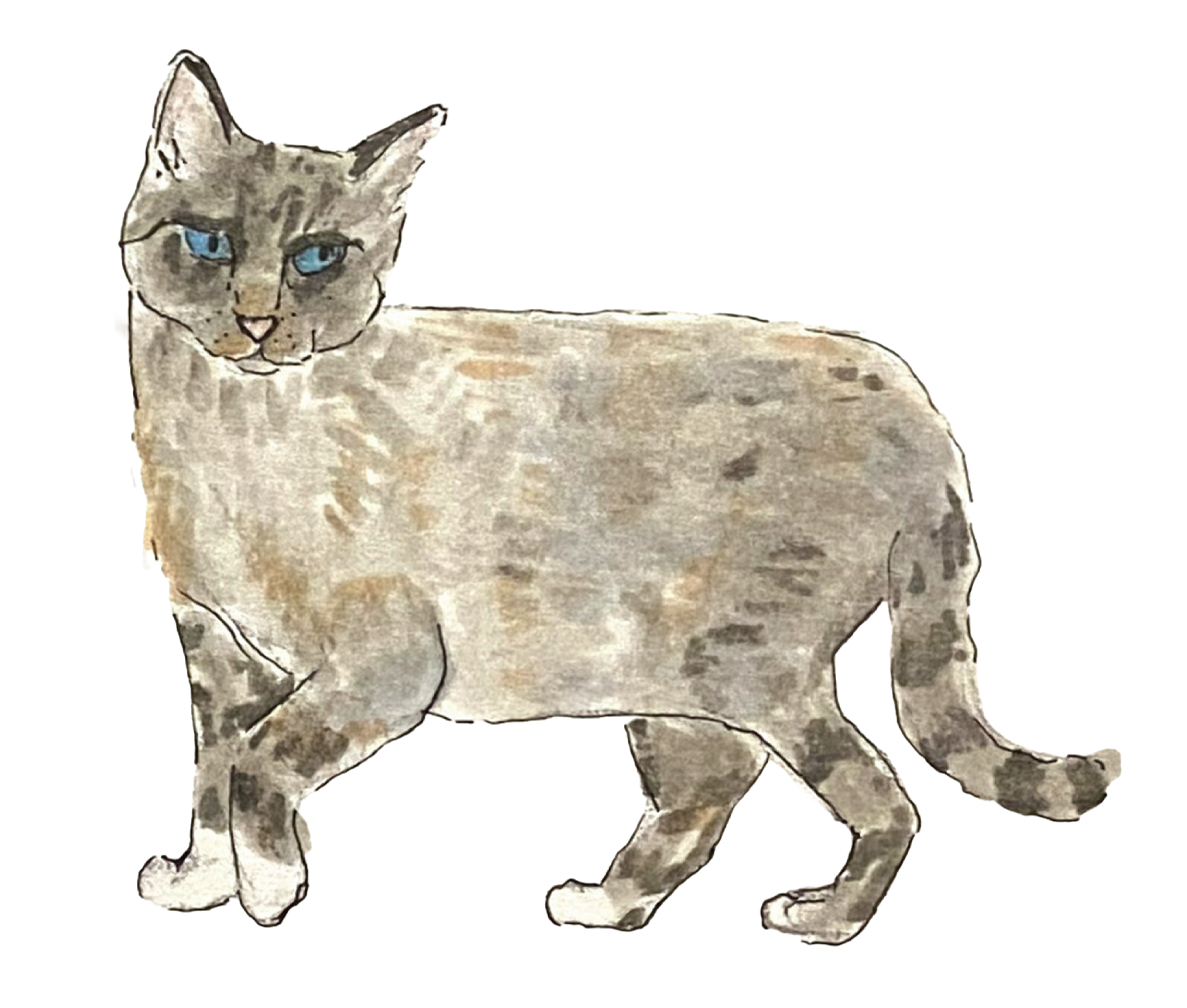 "Parking Lot Cat"